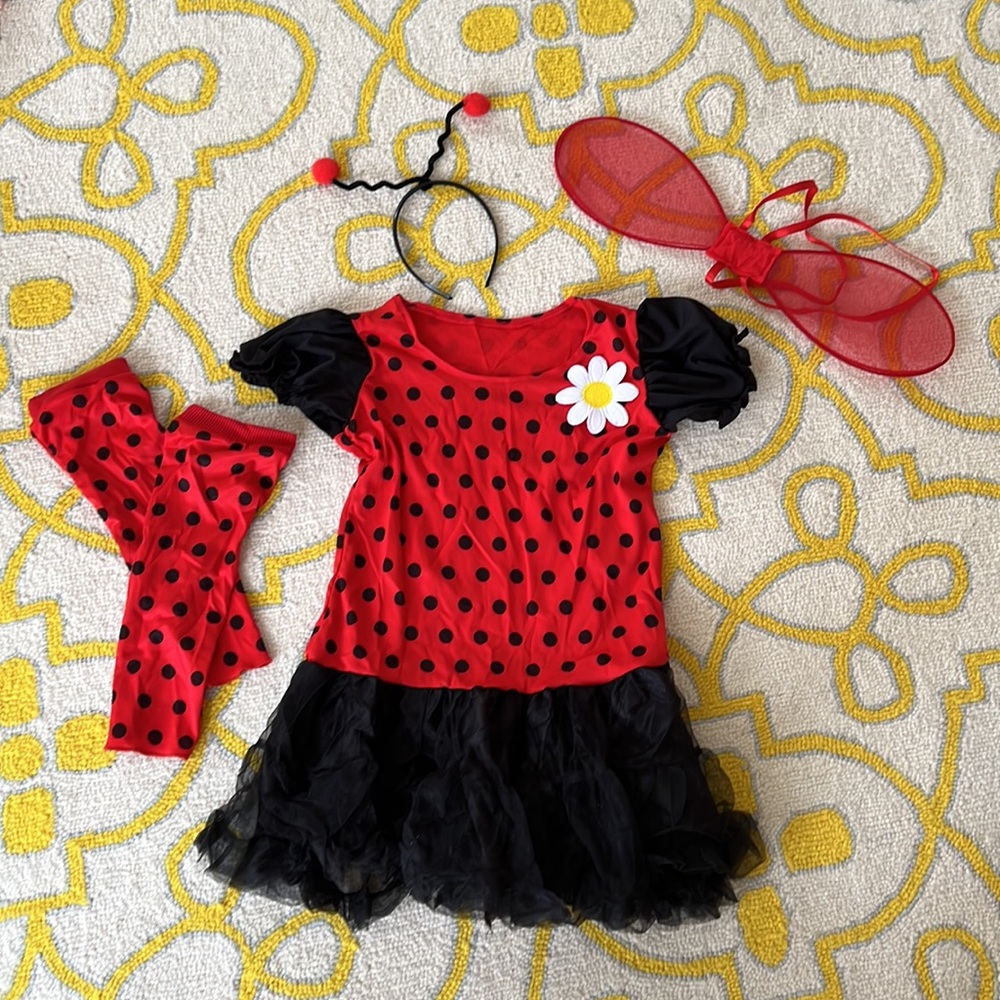 🐞Lady Bug Costume🐞 Sz L